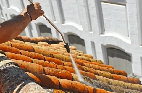 Nettoyage de toitures - Crosne